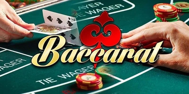 Tổng hợp các thuật ngữ hay gặp trong baccarat