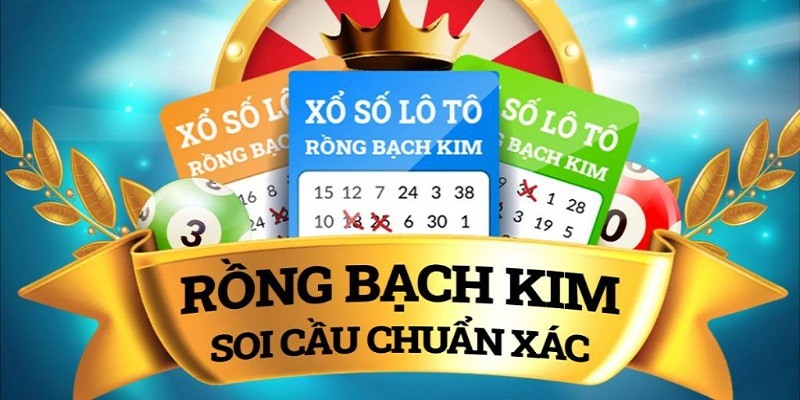 Cách sử dụng dịch vụ tại Rồng bạch kim được hiệu quả nhất