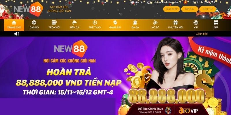 NEW88 - Tân binh xuất sắc nhất thị trường cá cược