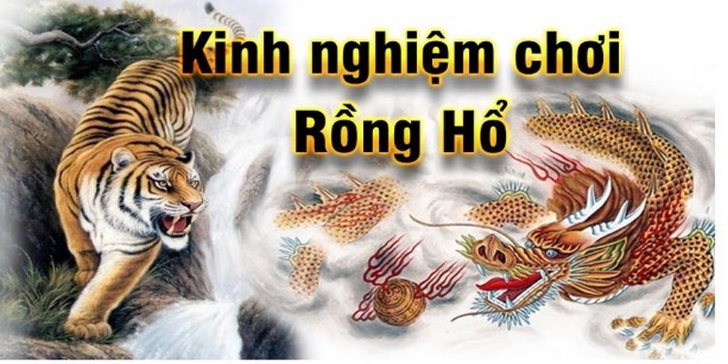 Kinh nghiệm để chơi Rồng Hổ không lo bịp bợm