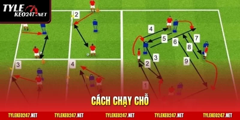 Cách chạy chỗ