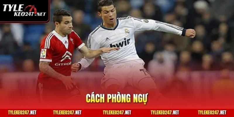 Cách phòng ngự