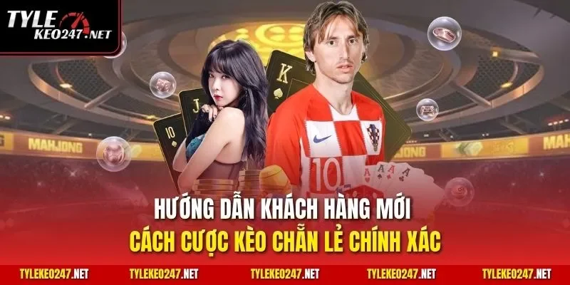 Hướng dẫn khách hàng mới cách cược kèo chẵn lẻ chính xác