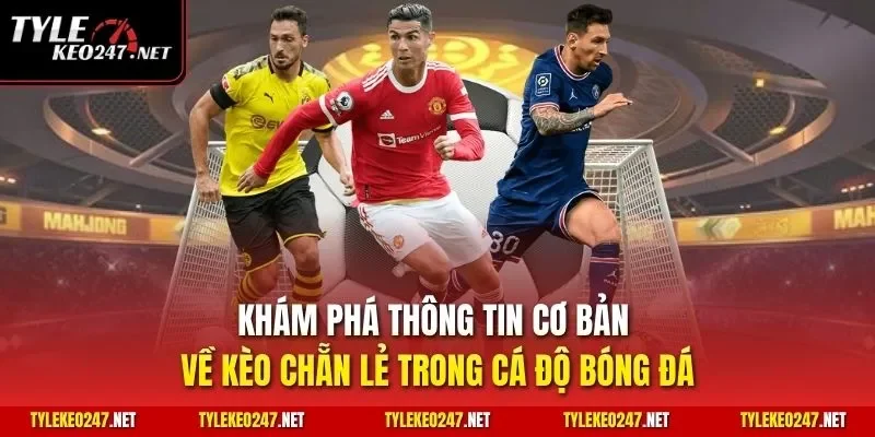 Khám phá thông tin cơ bản về kèo chẵn lẻ trong cá độ bóng đá