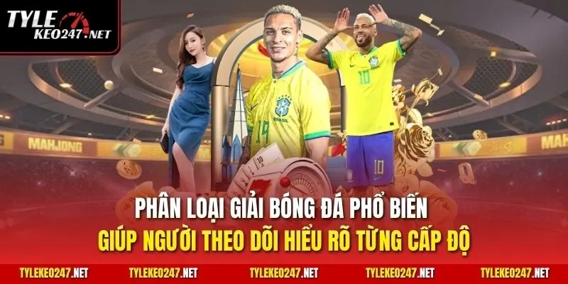 Phân loại giải bóng đá phổ biến giúp người theo dõi hiểu rõ từng cấp độ
