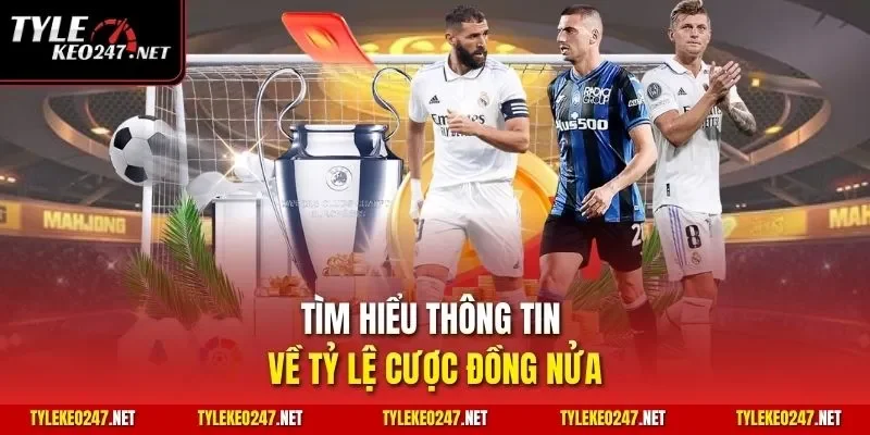 Tìm hiểu thông tin về tỷ lệ cược đồng nửa 