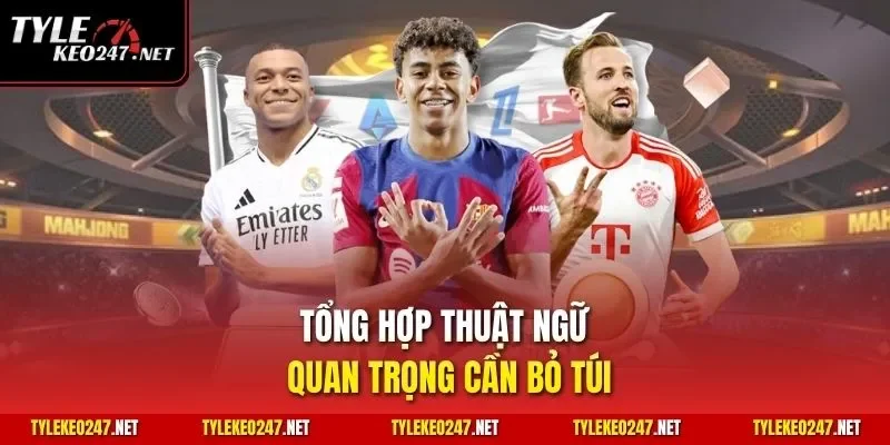 Tổng hợp thuật ngữ quan trọng cần bỏ túi